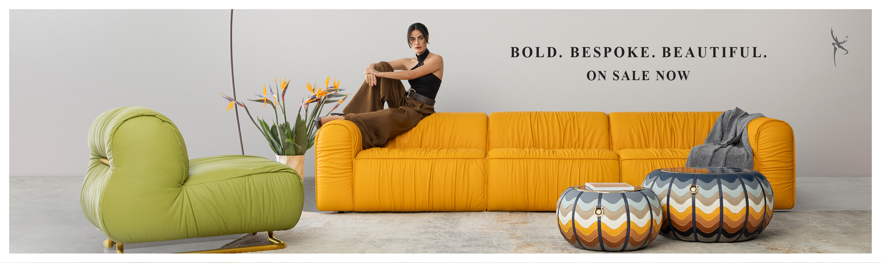 Home 1st d Banner -  Rollo